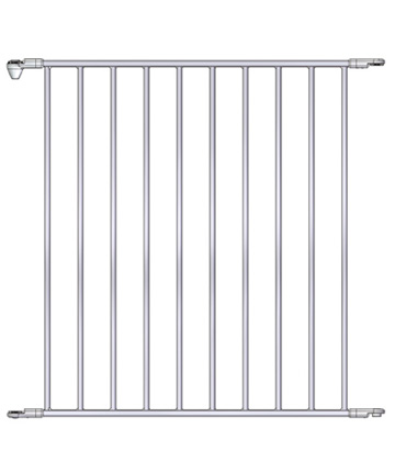 ワイドセクション