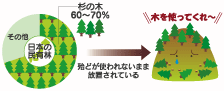 日本の民有林