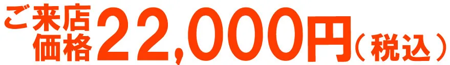 プラスアルファー薪の価格の画像