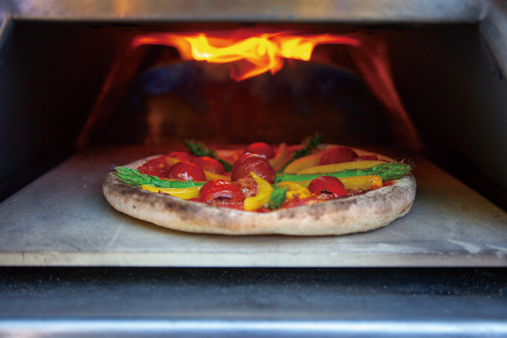 ファイヤーサイド ピザ窯カブト 通常モデル