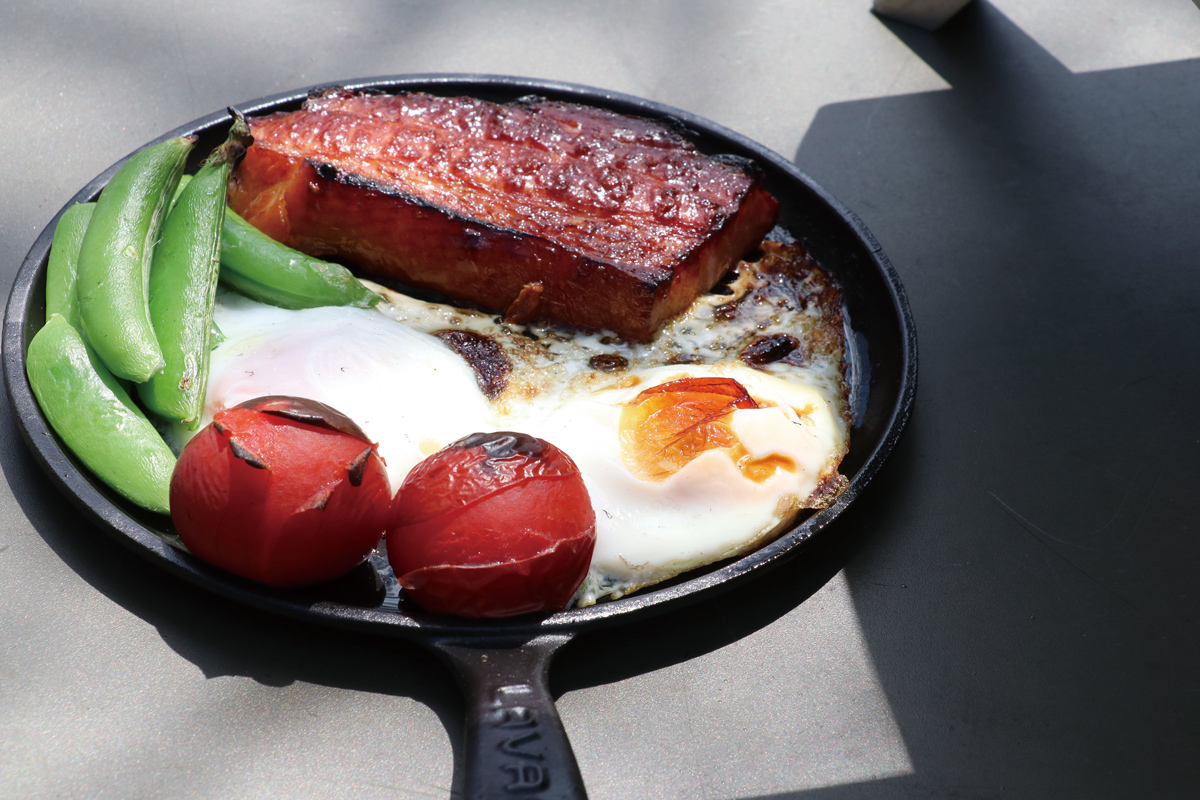 ファイヤーサイド ピザ窯カブト 通常モデル